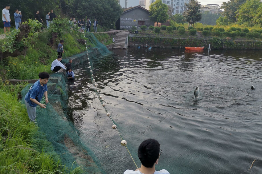 员工在亲鱼拉网.jpg