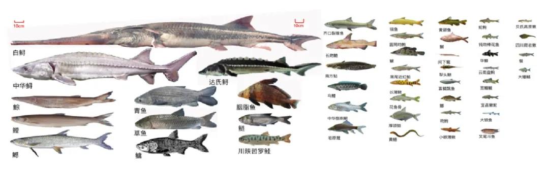 微信图片_20211122232008.jpg