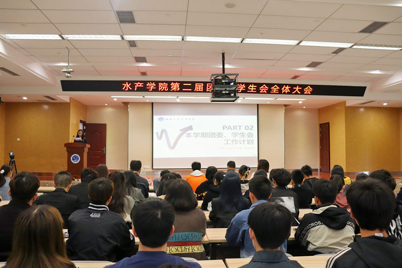3、执行主席党召柯作汇报_副本.jpg